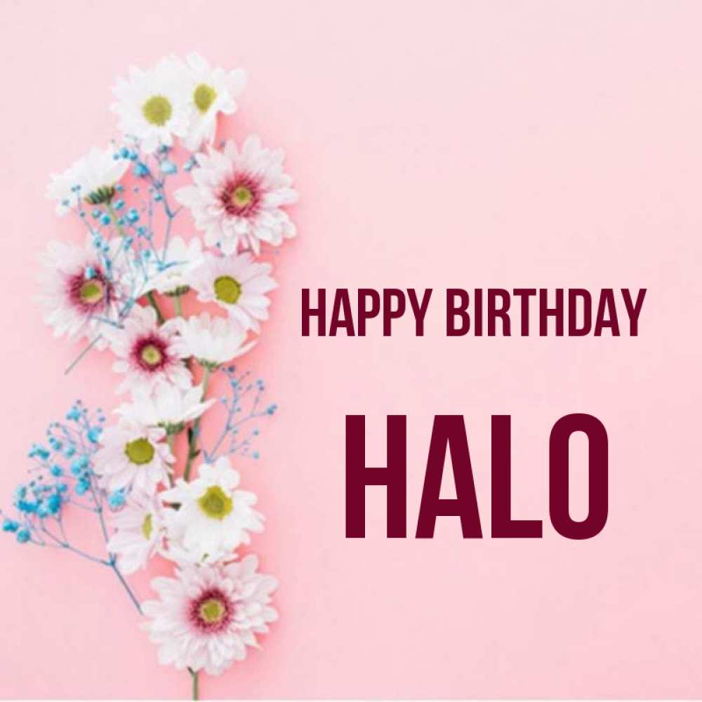 Greetings card с именем, Halo Happy Birthday Родная моя с днем рождения тебя картинка с цветами белыми и голубыми Greetings with text for free download 
