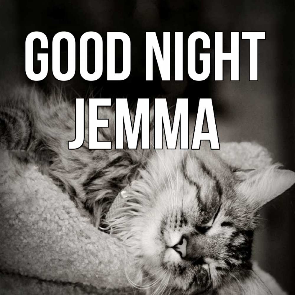 Greetings card с именем, Jemma Good night котярик пушистый Greetings with text for free download 