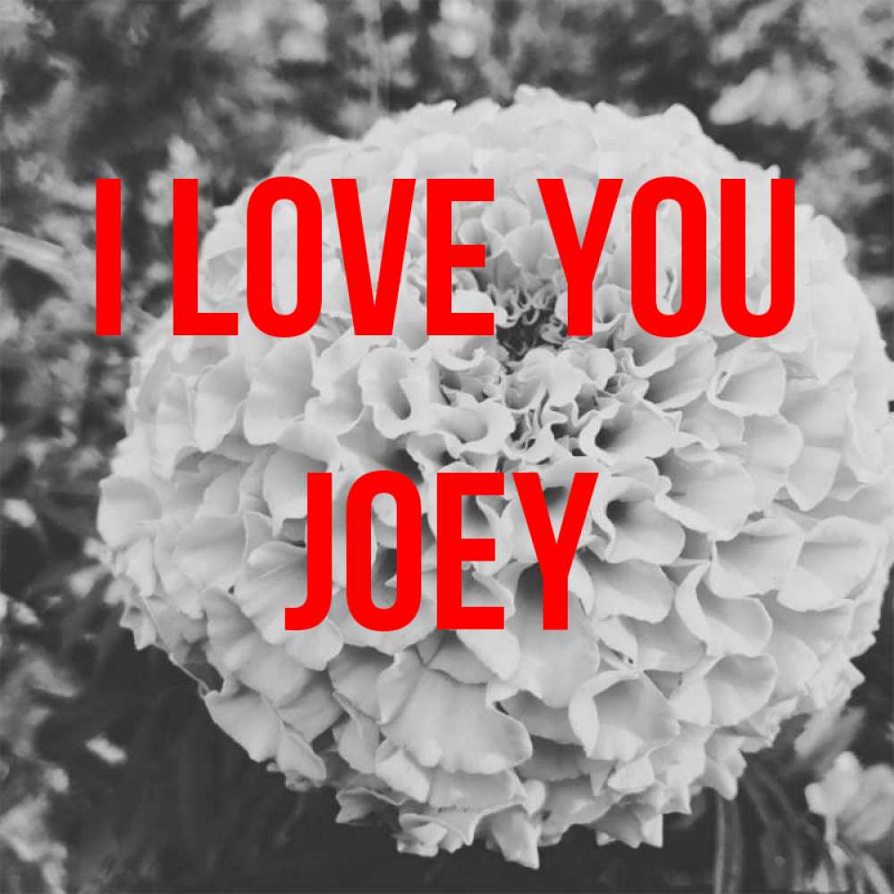 Greetings card с именем, Joey I love you подпись Greetings with text for free download 