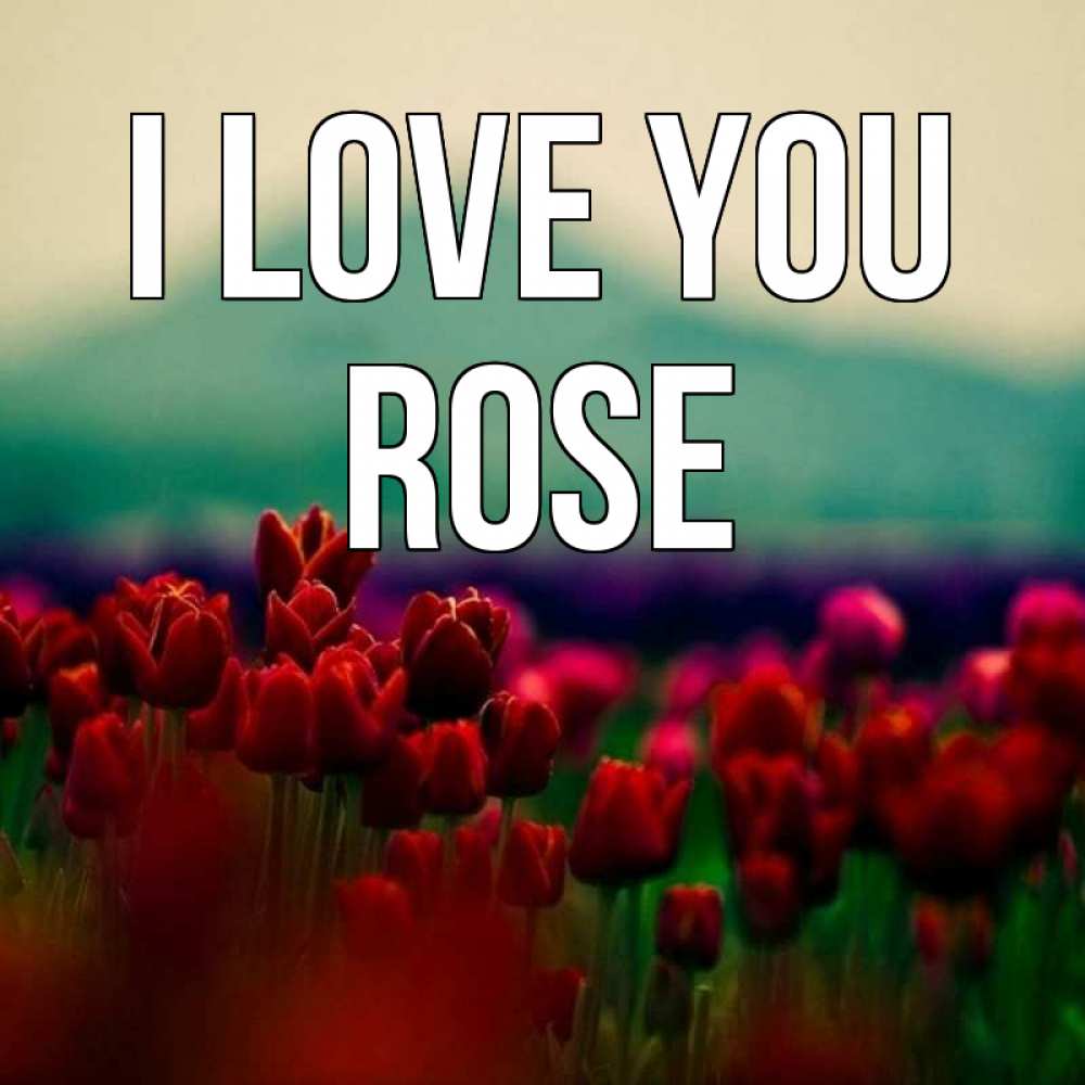 Greetings card с именем, Rose I love you тюльпаны 4 Greetings with text for free download 
