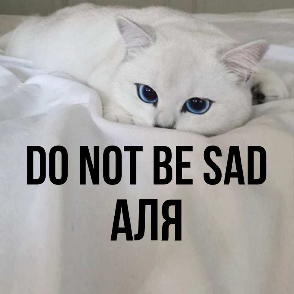 Greetings card с именем, Аля Do not be sad Голубоглазая кошка Greetings with text for free download 