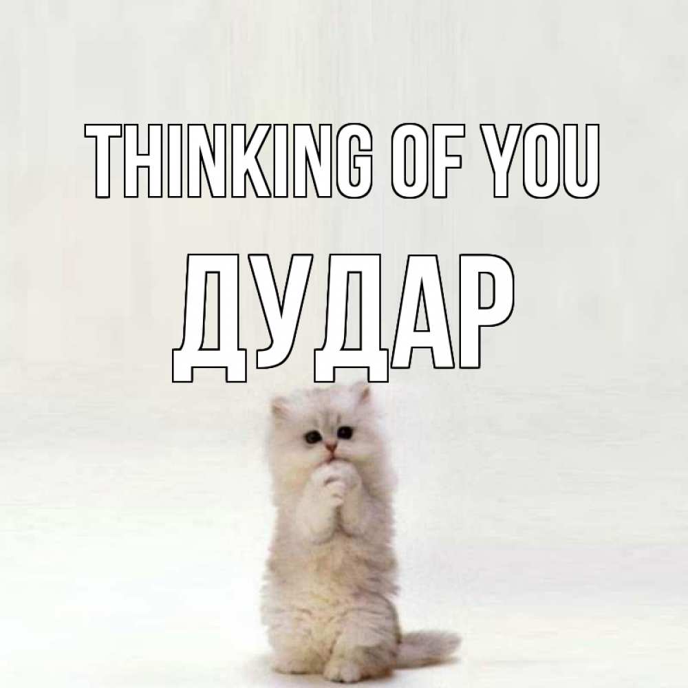 Greetings card с именем, Дудар Thinking of you кот стоит на задних лапах Greetings with text for free download 
