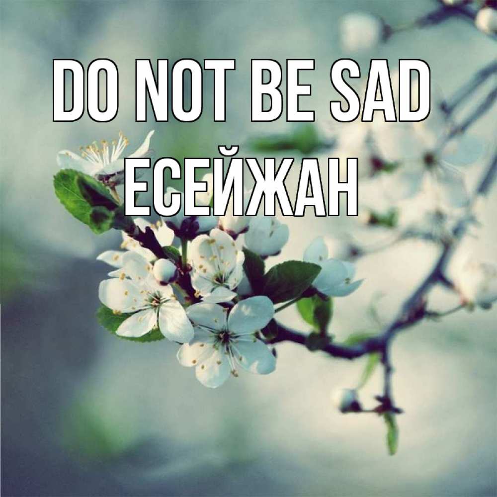 Greetings card с именем, Есейжан Do not be sad яблоня в цвету 1 Greetings with text for free download 