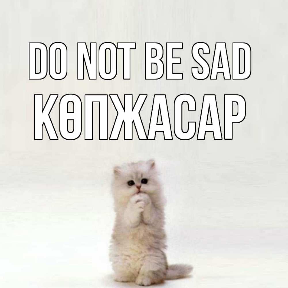 Greetings card с именем, Көпжасар Do not be sad грустный кот Greetings with text for free download 