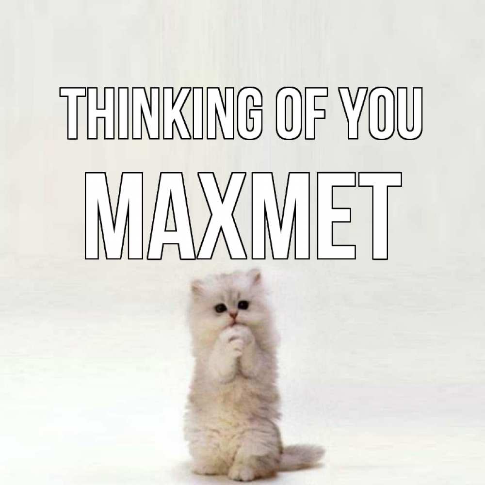 Greetings card с именем, МАХМЕТ Thinking of you кот стоит на задних лапах Greetings with text for free download 