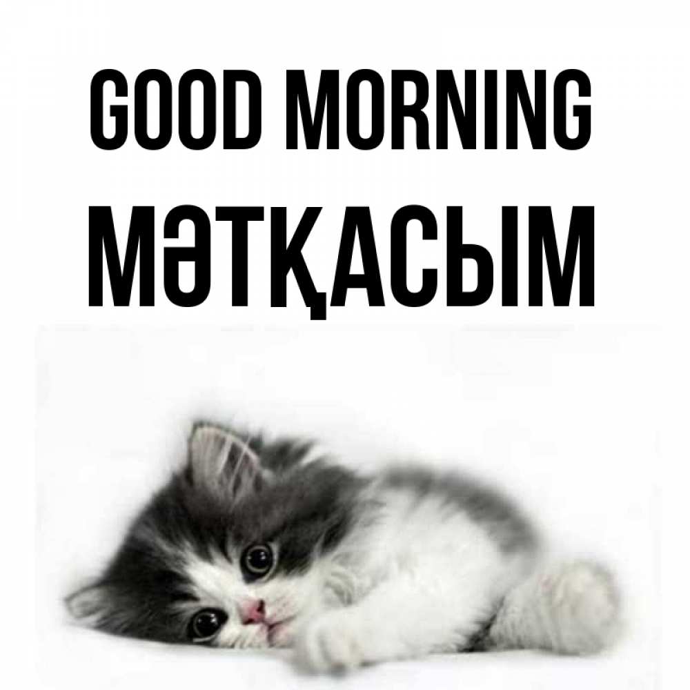 Greetings card с именем, МӘТҚАСЫМ Good morning кот лапки Greetings with text for free download 
