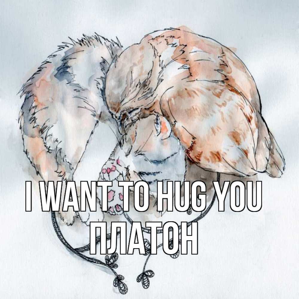 Greetings card с именем, Платон I want to hug you можно быть вместе даже когда очень разные Greetings with text for free download 