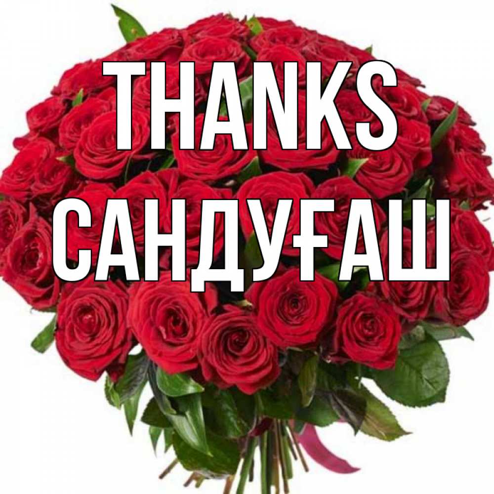Greetings card с именем, САНДУҒАШ Thanks букет красных роз Greetings with text for free download 