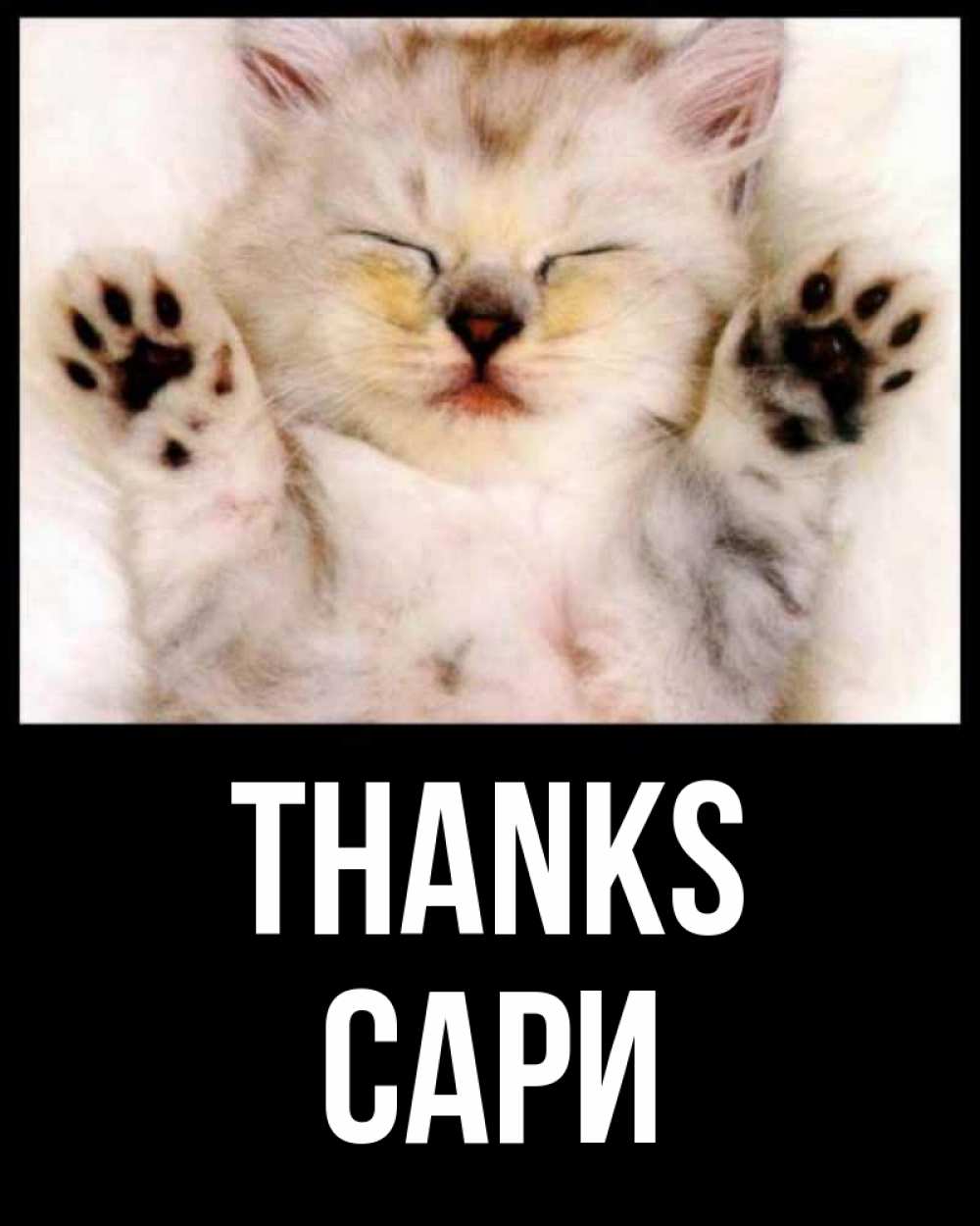Greetings card с именем, САРИ Thanks маленький котенок Greetings with text for free download 