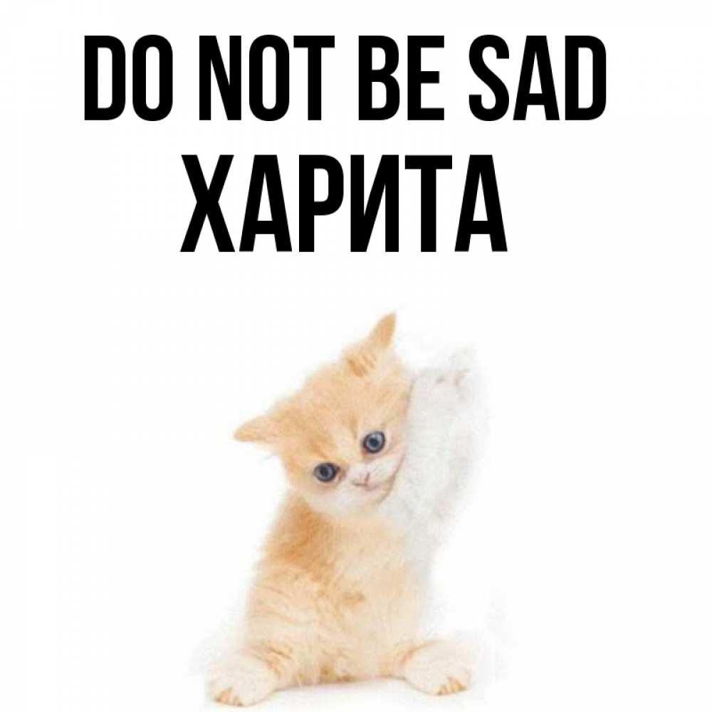 Greetings card с именем, Харита Do not be sad просящий кот Greetings with text for free download 