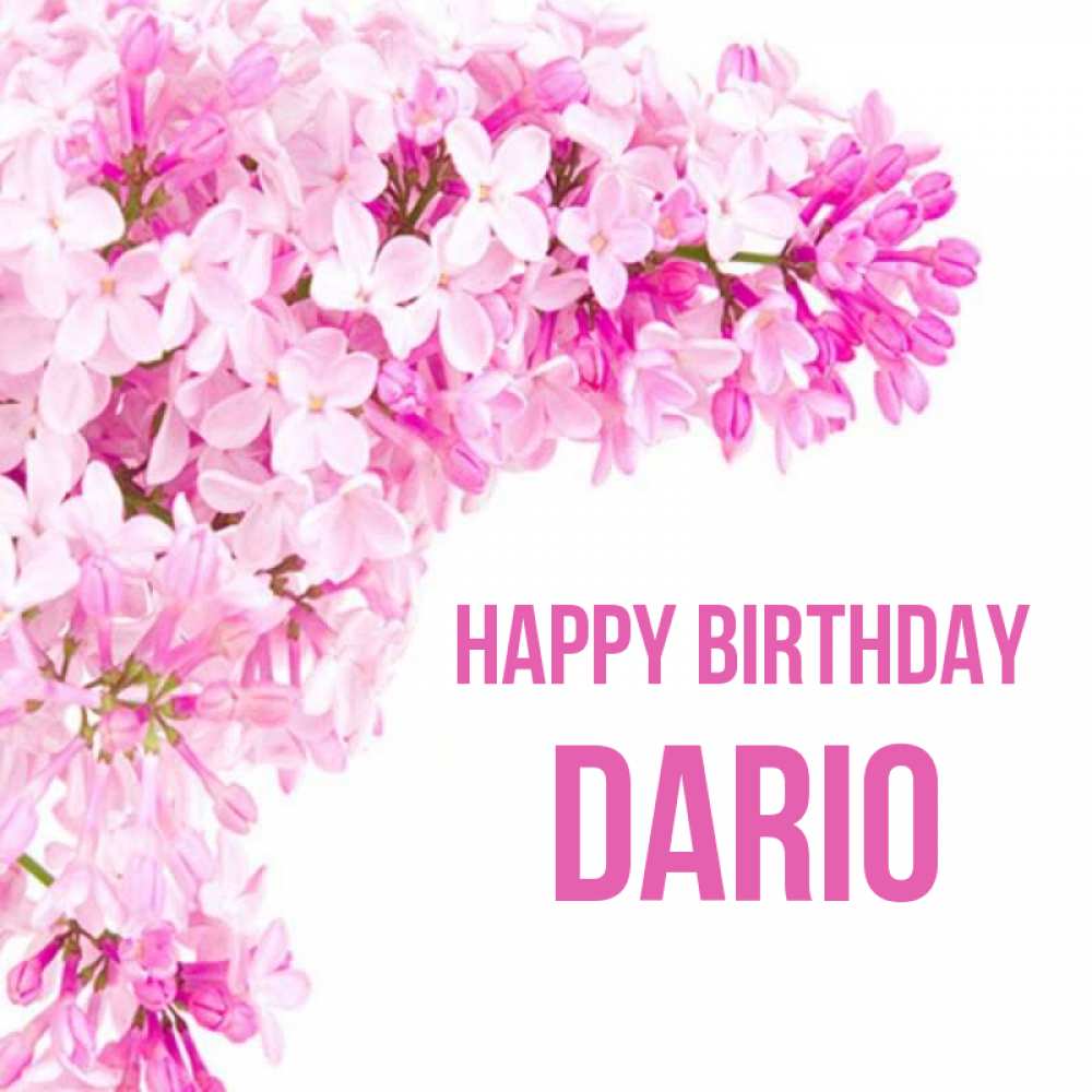 Greetings card с именем, Dario Happy Birthday Сирень на белом фоне Greetings with text for free download 