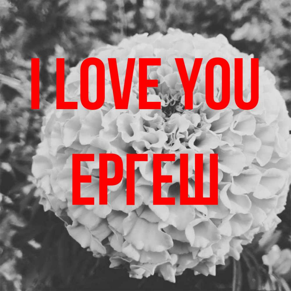 Greetings card с именем, Ергеш I love you подпись Greetings with text for free download 