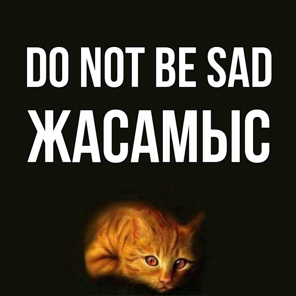 Greetings card с именем, Жасамыс Do not be sad лежащий кот в темноте Greetings with text for free download 