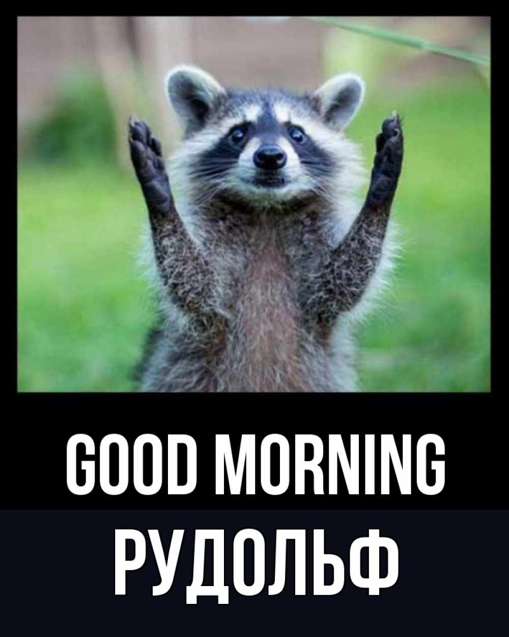 Greetings card с именем, Рудольф Good morning хорошее настроение утречком Greetings with text for free download 