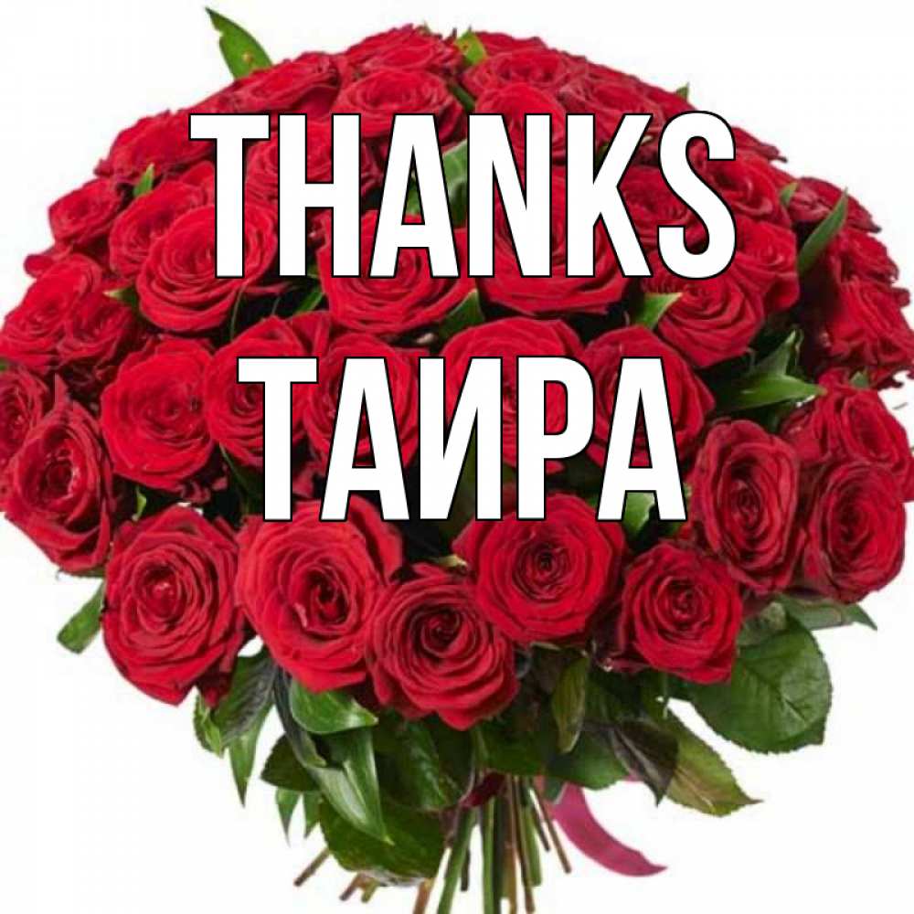 Greetings card с именем, Таира Thanks букет красных роз Greetings with text for free download 