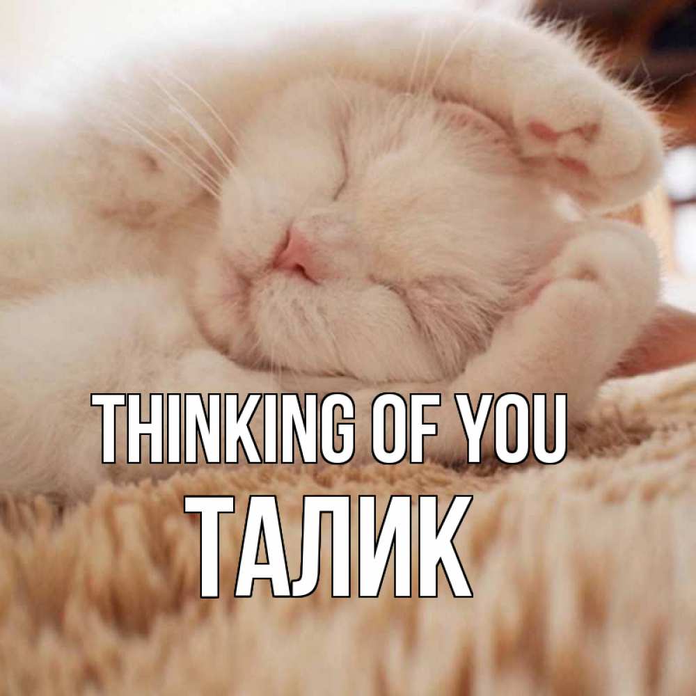 Greetings card с именем, Талик Thinking of you для любимой девушки милота Greetings with text for free download 