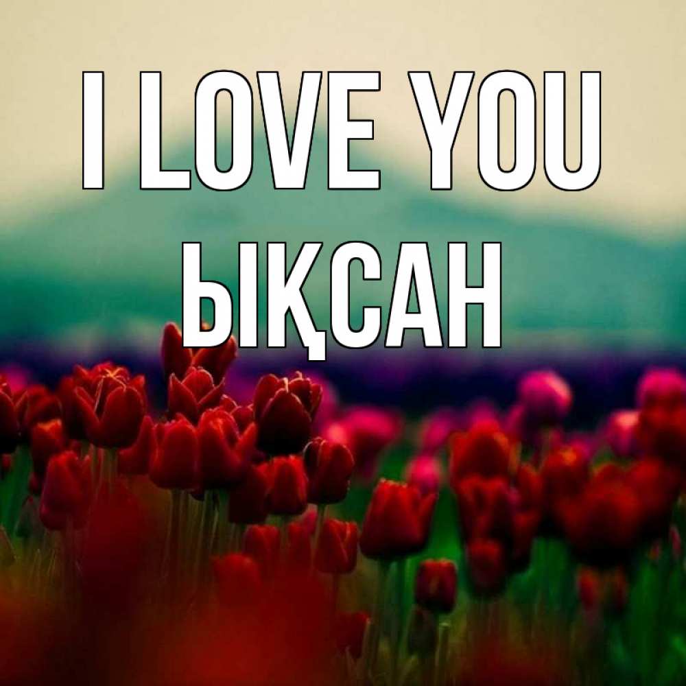 Greetings card с именем, ЫҚСАН I love you тюльпаны 4 Greetings with text for free download 