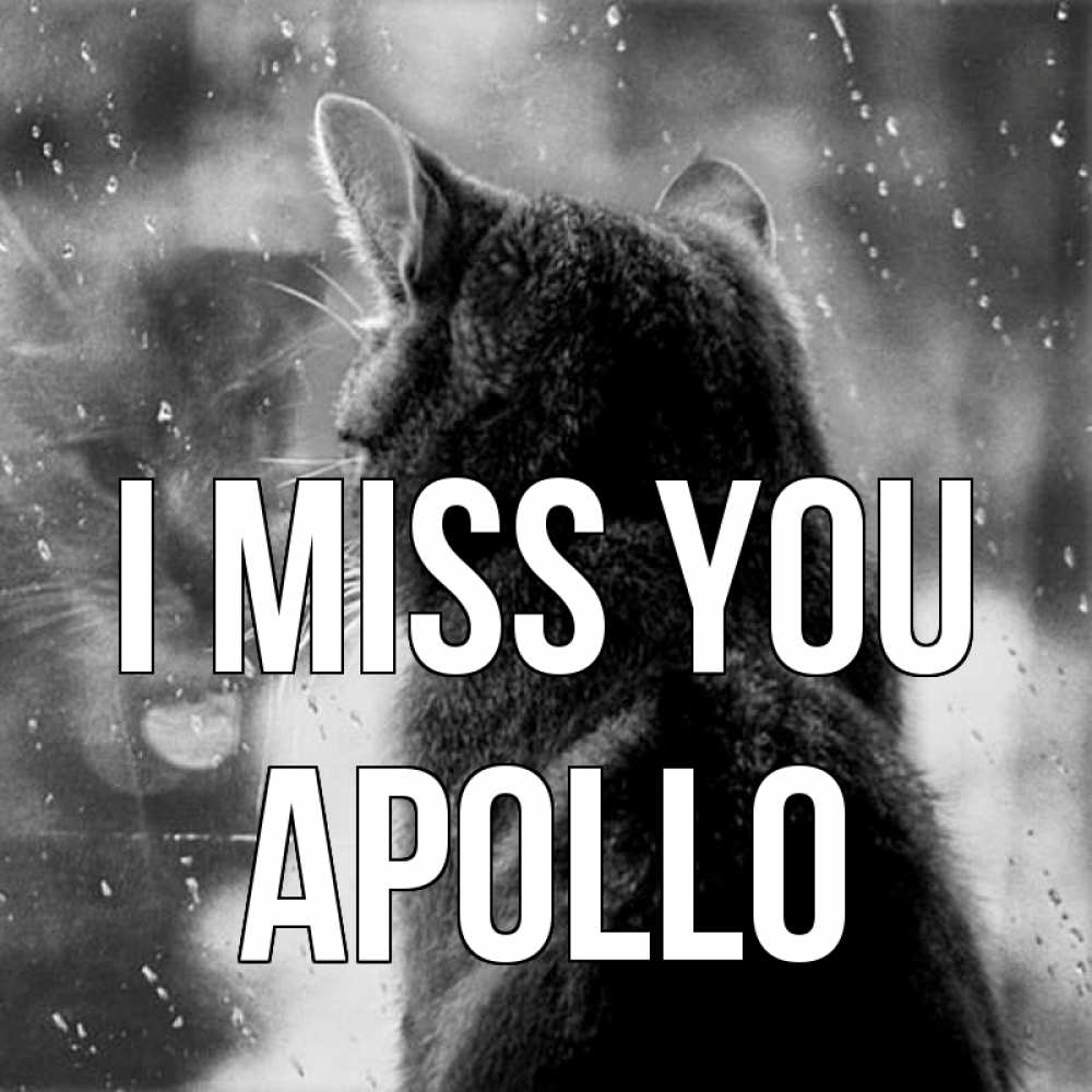 Greetings card с именем, Apollo I miss you скорее ко мне приходи 1 Greetings with text for free download 