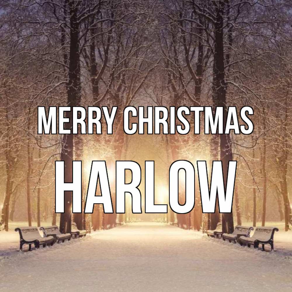 Greetings card с именем, Harlow Merry Christmas зима, парк, фонарь, лес Greetings with text for free download 