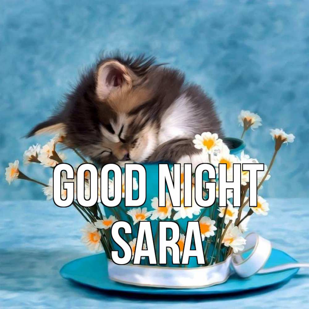 Greetings card с именем, Sara Good night котенок спит в кружке с блюдцем Greetings with text for free download 