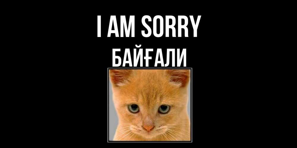 Greetings card с именем, Байғали I am sorry рыжий грустный кот просит прощения Greetings with text for free download 
