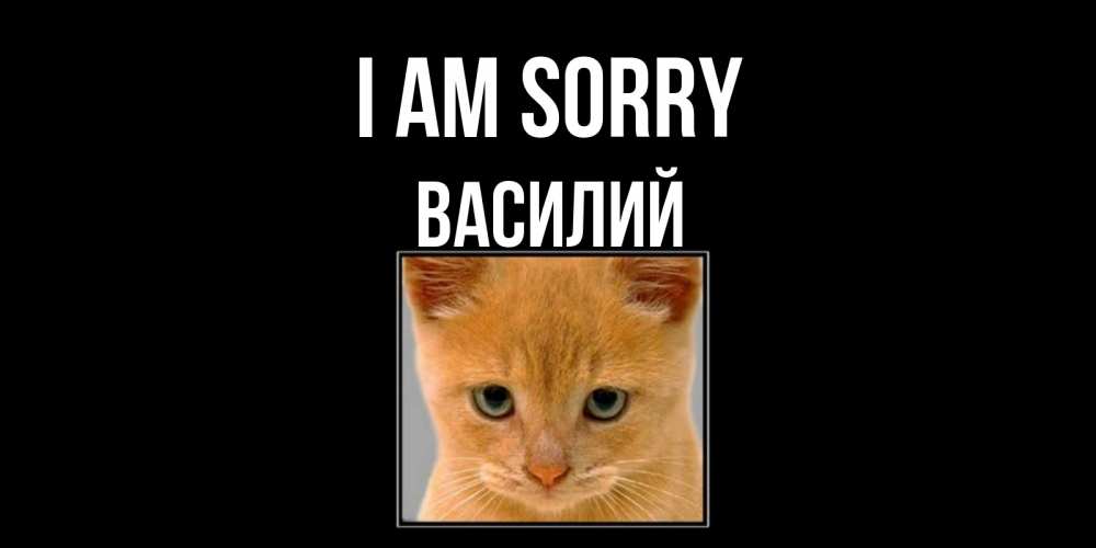 Greetings card с именем, Василий I am sorry рыжий грустный кот просит прощения Greetings with text for free download 