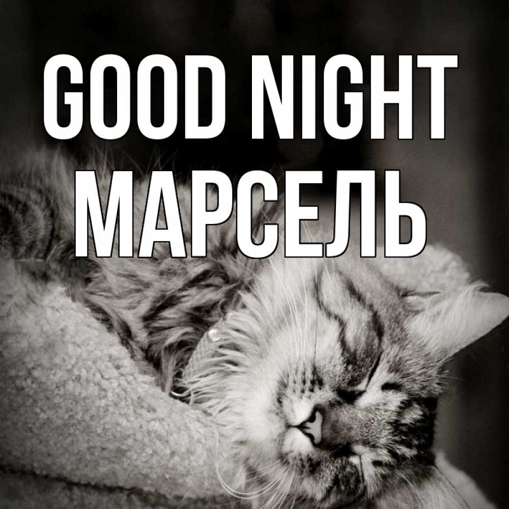 Greetings card с именем, Марсель Good night котярик пушистый Greetings with text for free download 