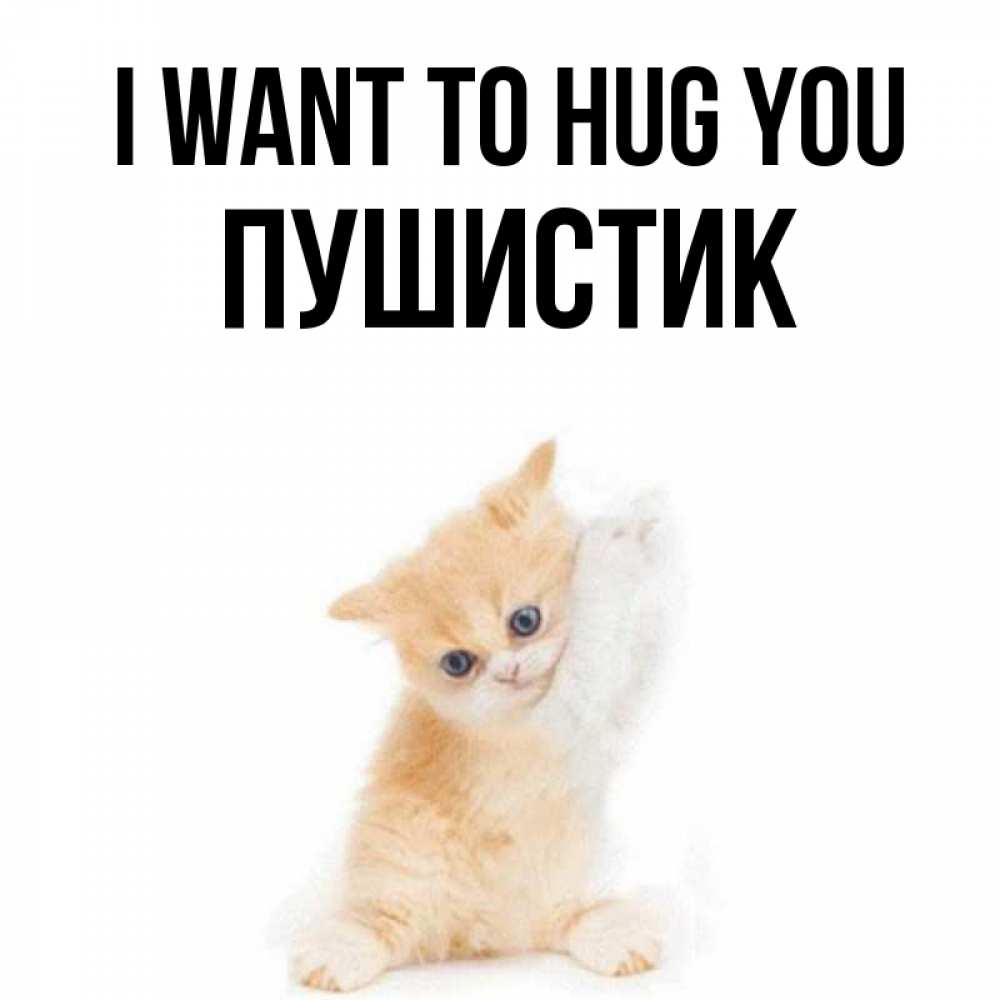 Greetings card с именем, Пушистик I want to hug you я хочу очень скорее обнимаешек Greetings with text for free download 