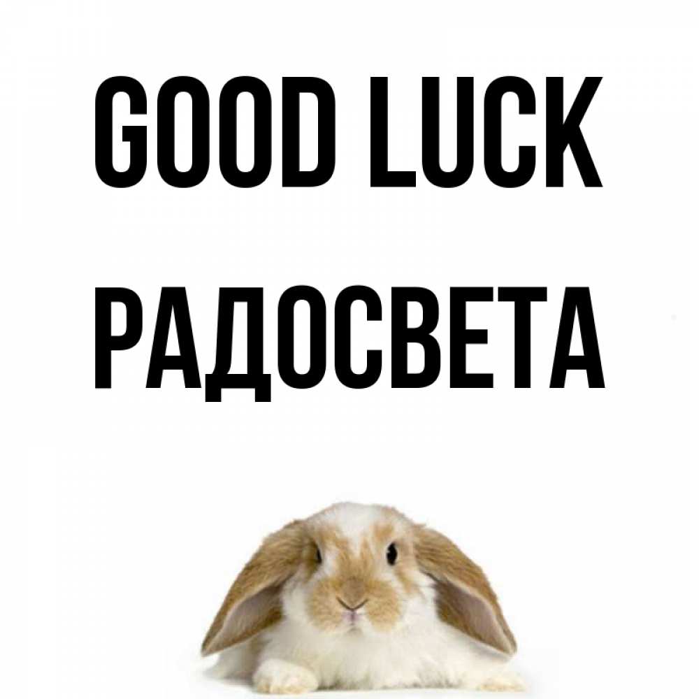 Greetings card с именем, Радосвета Good luck открытки с произвольным текстом который можно вставить в открытку и создать ее самостоятельно бесплатно онлайн Greetings with text for free download 