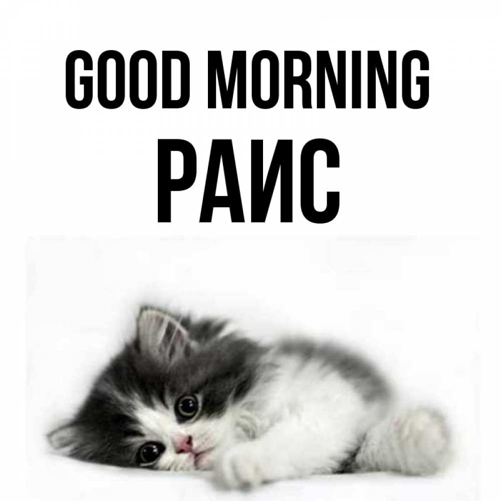 Greetings card с именем, Раис Good morning кот лапки Greetings with text for free download 