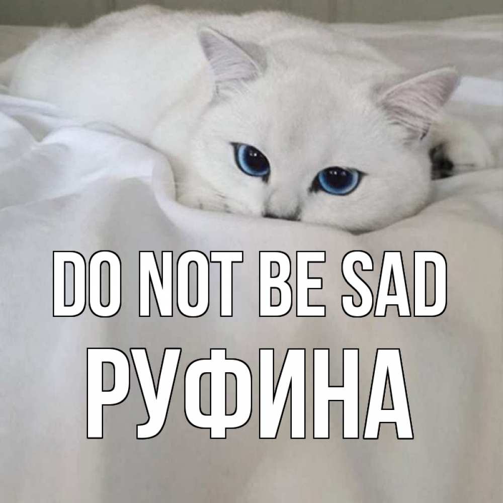 Greetings card с именем, Руфина Do not be sad белый кот с голубыми глазами на белоснежной кровати Greetings with text for free download 