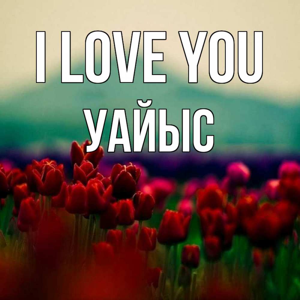 Greetings card с именем, УАЙЫС I love you тюльпаны 4 Greetings with text for free download 