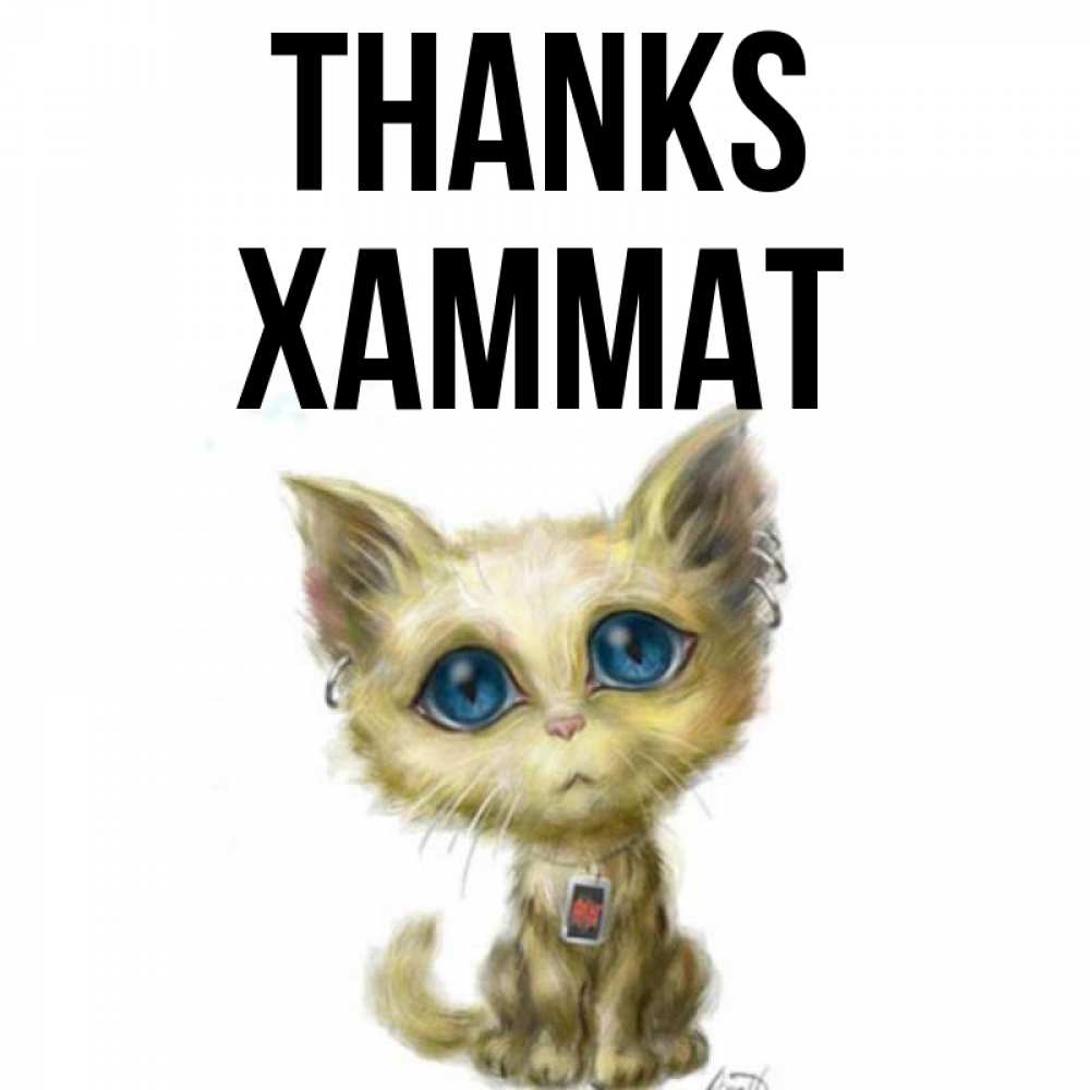 Greetings card с именем, ХАММАТ Thanks рисованный кот благодарит вас Greetings with text for free download 