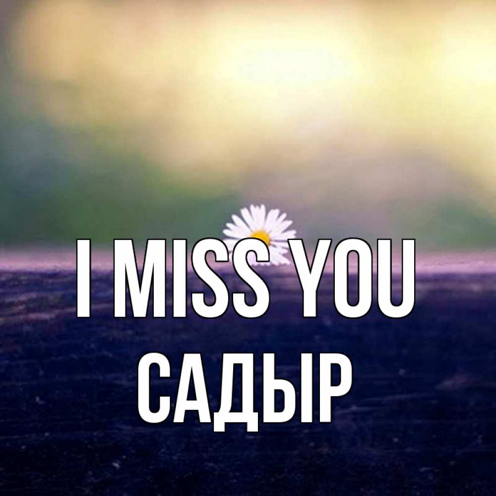 Greetings card с именем, САДЫР I miss you приходи в гости Greetings with text for free download 