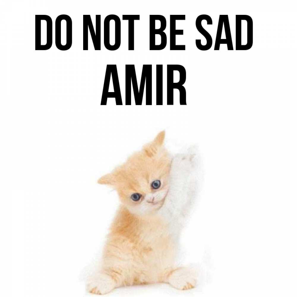 Greetings card с именем, Amir Do not be sad просящий кот Greetings with text for free download 