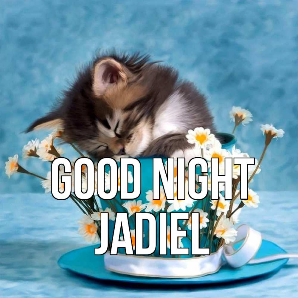 Greetings card с именем, Jadiel Good night котенок спит в кружке с блюдцем Greetings with text for free download 