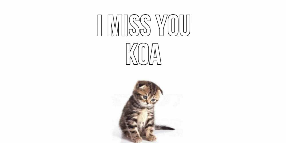 Greetings card с именем, Koa I miss you кот Greetings with text for free download 