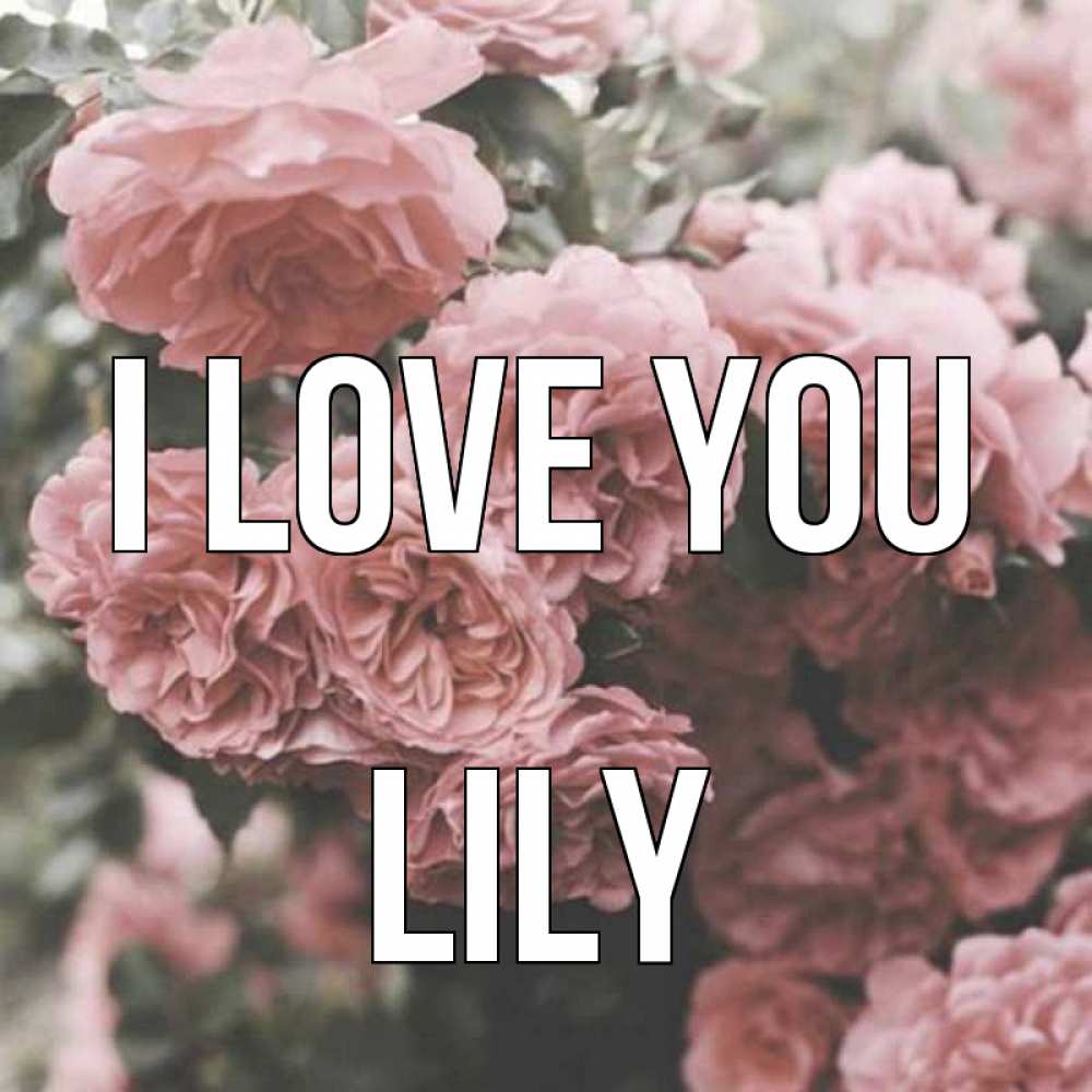 Greetings card с именем, Lily I love you розы 3 Greetings with text for free download 