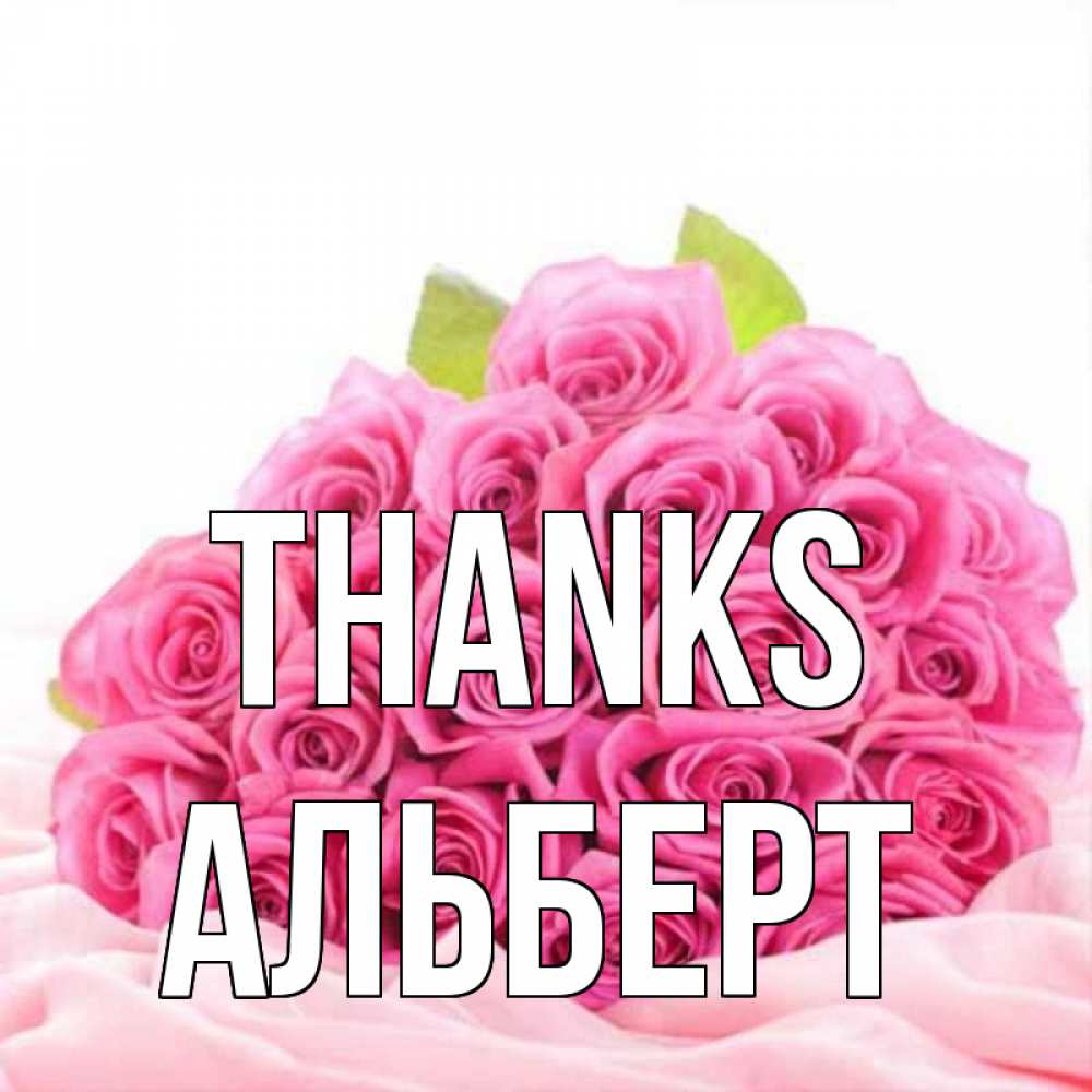 Greetings card с именем, Альберт Thanks розовые розы с подписью Greetings with text for free download 