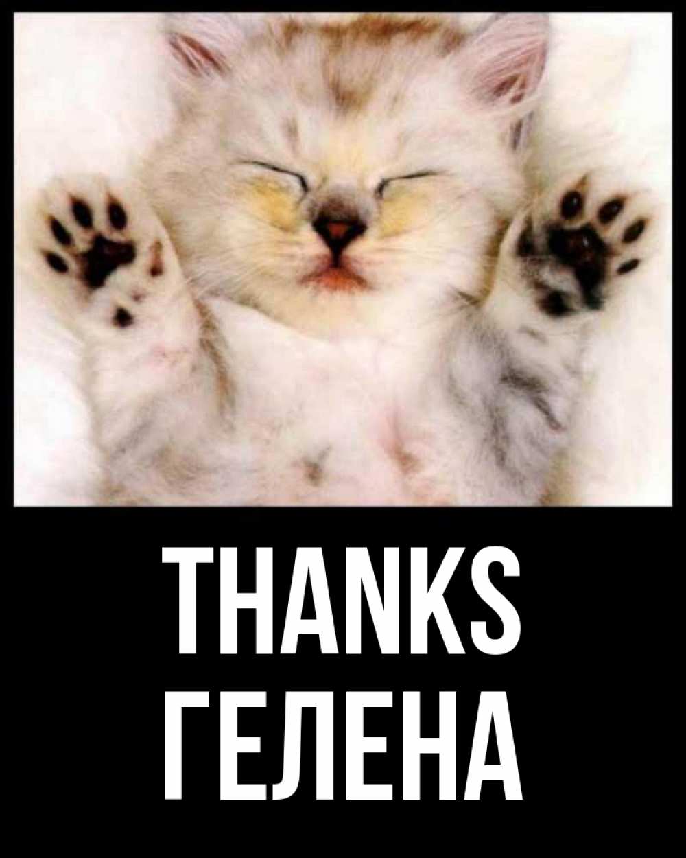 Greetings card с именем, Гелена Thanks маленький котенок Greetings with text for free download 