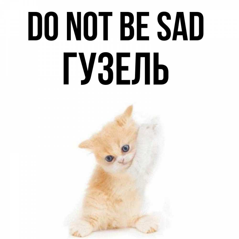 Greetings card с именем, Гузель Do not be sad просящий кот Greetings with text for free download 