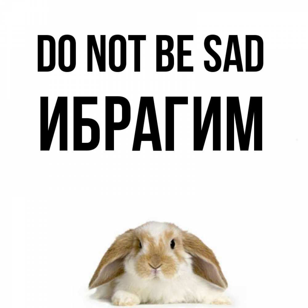 Greetings card с именем, Ибрагим Do not be sad коричнево белый заяц с большими ушками Greetings with text for free download 