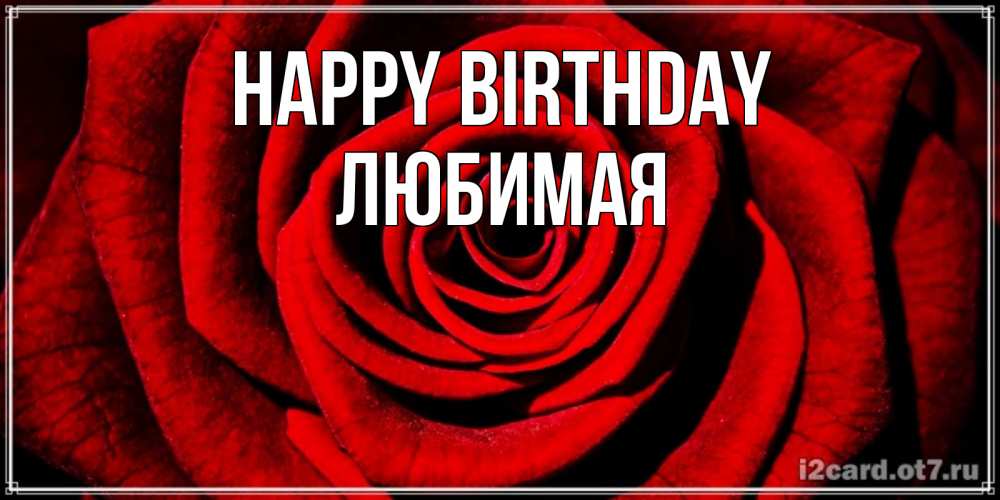Greetings card с именем, Любимая Happy Birthday алая роза Greetings with text for free download 