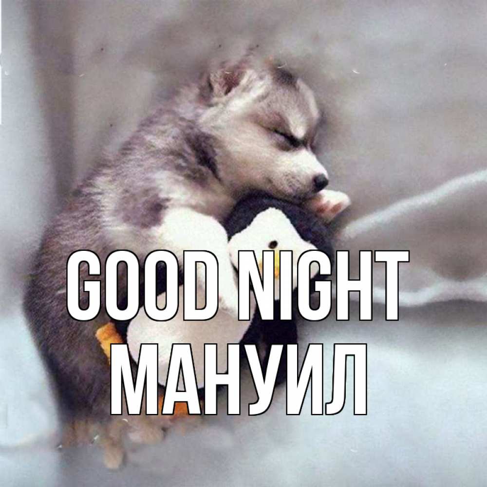 Greetings card с именем, Мануил Good night обнимашки щенка и пингвина Greetings with text for free download 