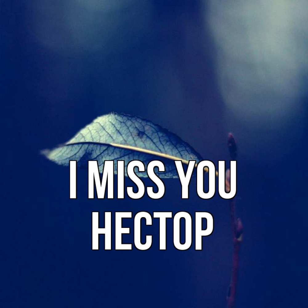 Greetings card с именем, Нестор I miss you одна ветка 1 Greetings with text for free download 