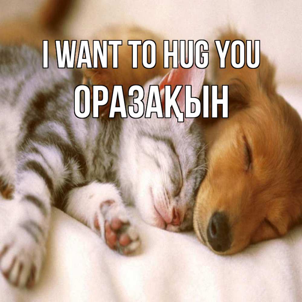 Greetings card с именем, ОРАЗАҚЫН I want to hug you пес и котенок Greetings with text for free download 