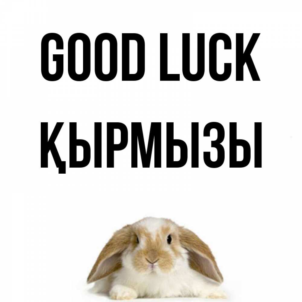 Greetings card с именем, ҚЫРМЫЗЫ Good luck открытки с произвольным текстом который можно вставить в открытку и создать ее самостоятельно бесплатно онлайн Greetings with text for free download 