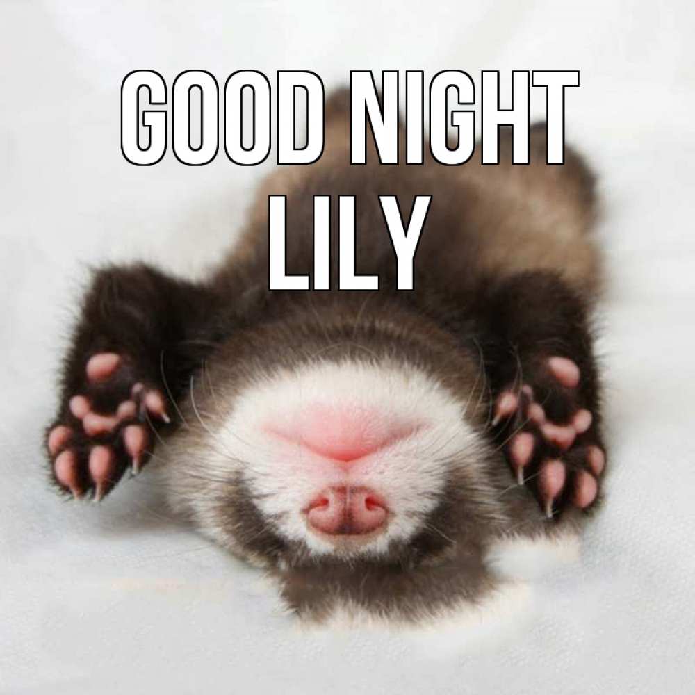 Greetings card с именем, Lily Good night зверек Greetings with text for free download 