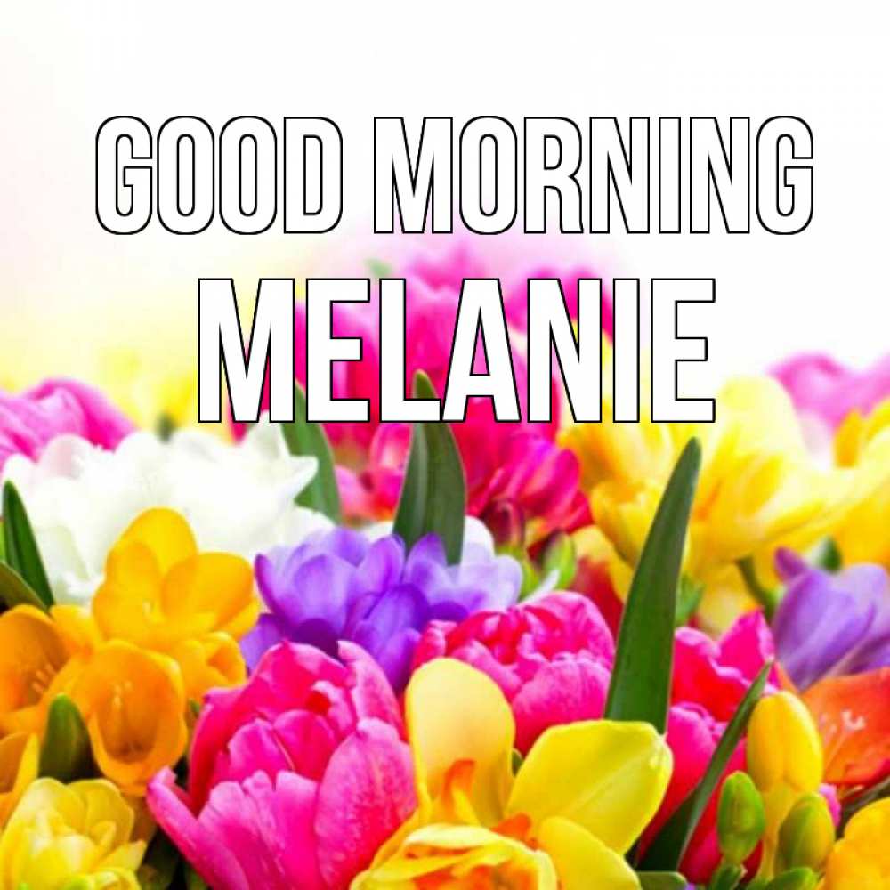 Greetings card с именем, Melanie Good morning создать открытку со свое подписью Greetings with text for free download 
