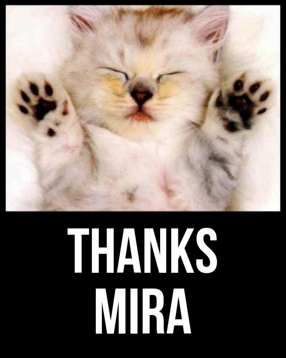 Greetings card с именем, Mira Thanks маленький котенок Greetings with text for free download 
